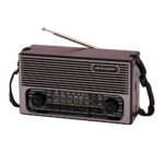 Microdigit Bluetooth Portable Radio MD012R AM/FM/SW/3 Band Portable Radio With Rechargeable Battery